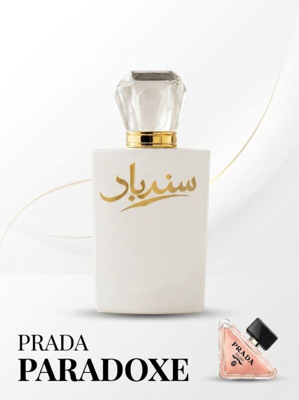 👩 PRADA PARADOX
